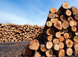 木材、竹制品防腐抗菌剂