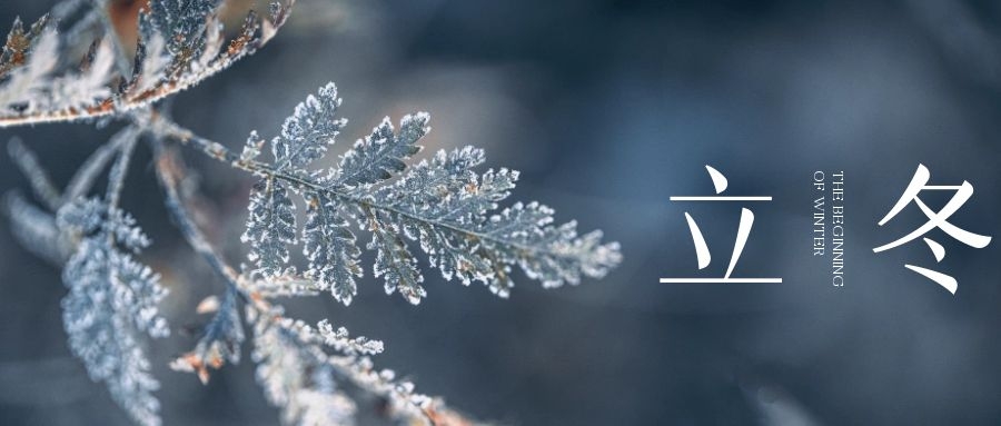 立冬 ▎朔風(fēng)始起，萬物境藏
