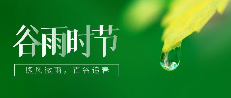 谷雨 ▎雨生百谷，鎖住一抹春色