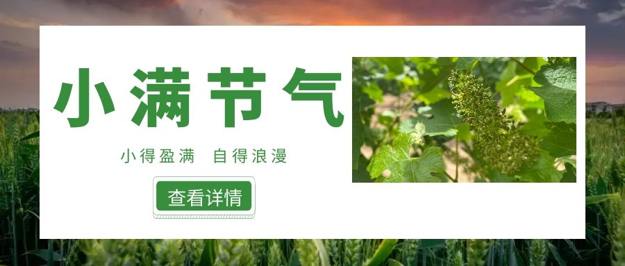 小滿 ▎小得盈滿，自得浪漫~
