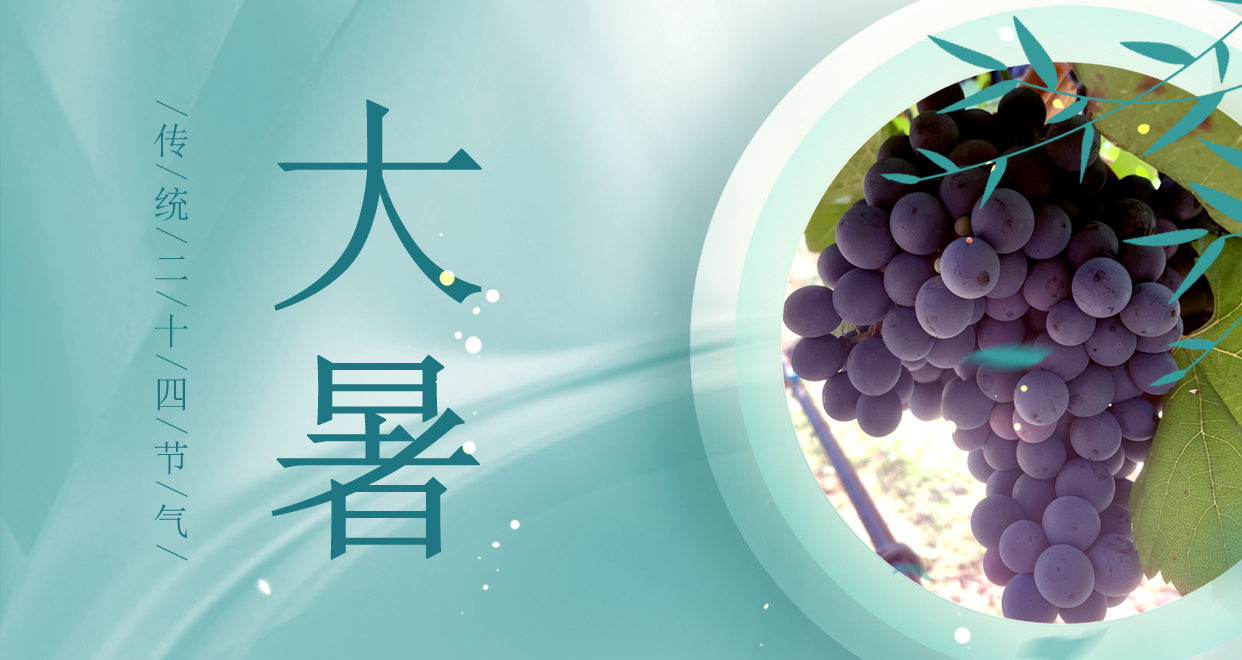 大暑 ▎時夏三伏盛，葡萄綴滿天