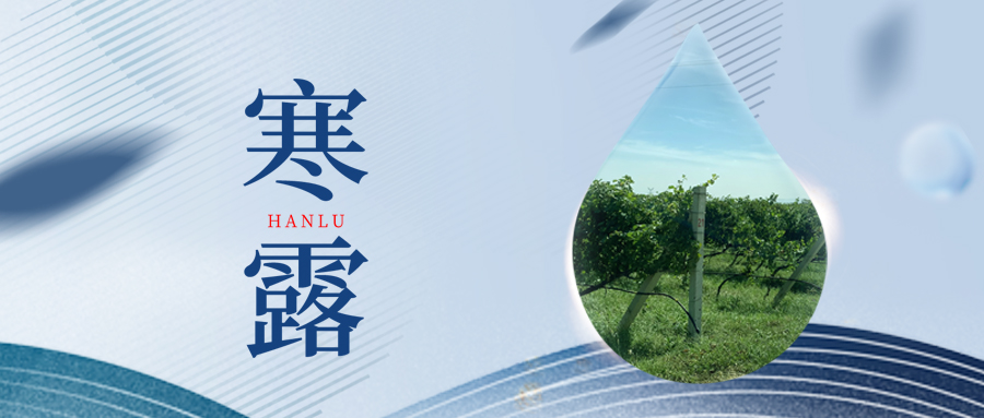 寒露丨夜露凝寒，萬(wàn)物皆秋