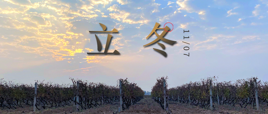 立冬 ▎四時(shí)有序，天地歸藏