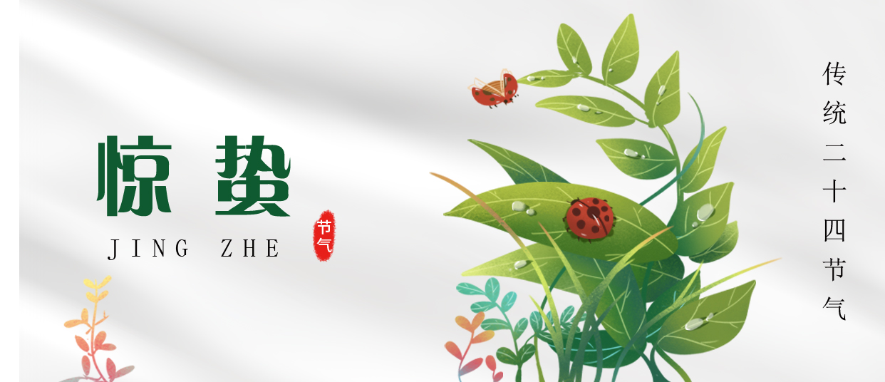 驚蟄 ▎雷鳴春醒，萬物生長