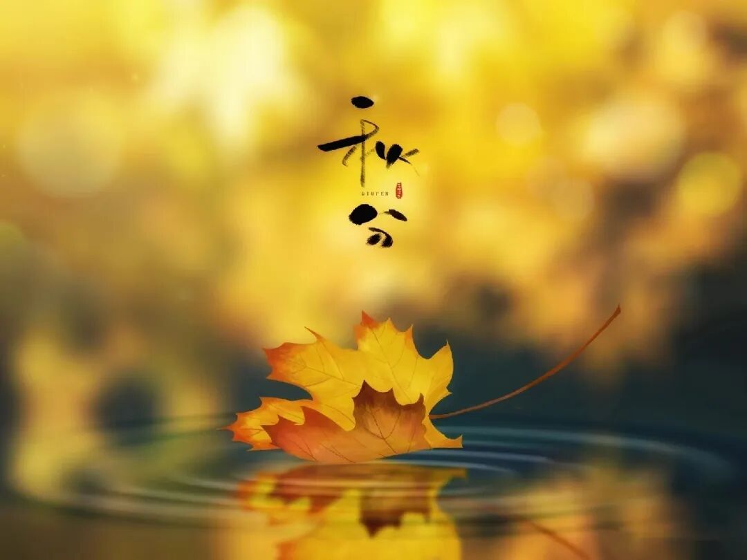 秋分，在格瑞特莊園與時(shí)光對(duì)飲